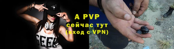 крисы Магас