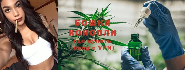 крисы Магас