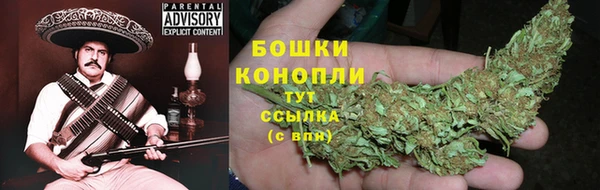 бошки Бикин