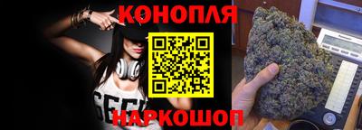 крисы Кингисепп
