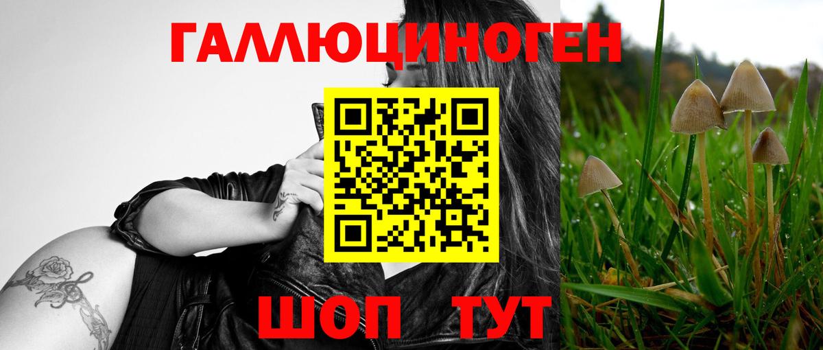 Псилоцибиновые грибы мицелий  Галлюциногенные грибы Magic Shrooms  Надым 