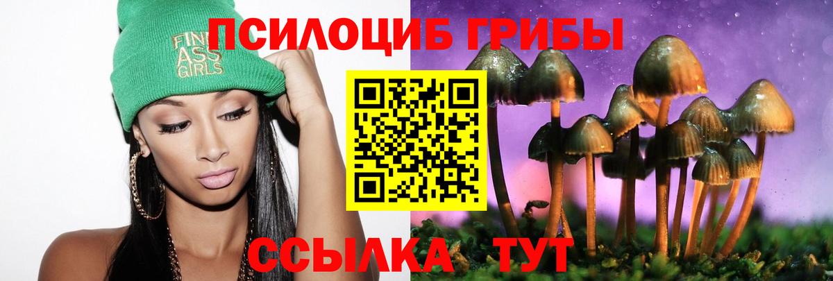 Псилоцибиновые грибы GOLDEN TEACHER  где можно купить   Вход с VPN  Надым  Галлюциногенные грибы Psilocybine cubensis 