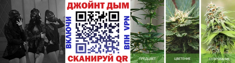 блэк спрут ССЫЛКА  Надым  Конопля LSD WEED  где купить наркоту 